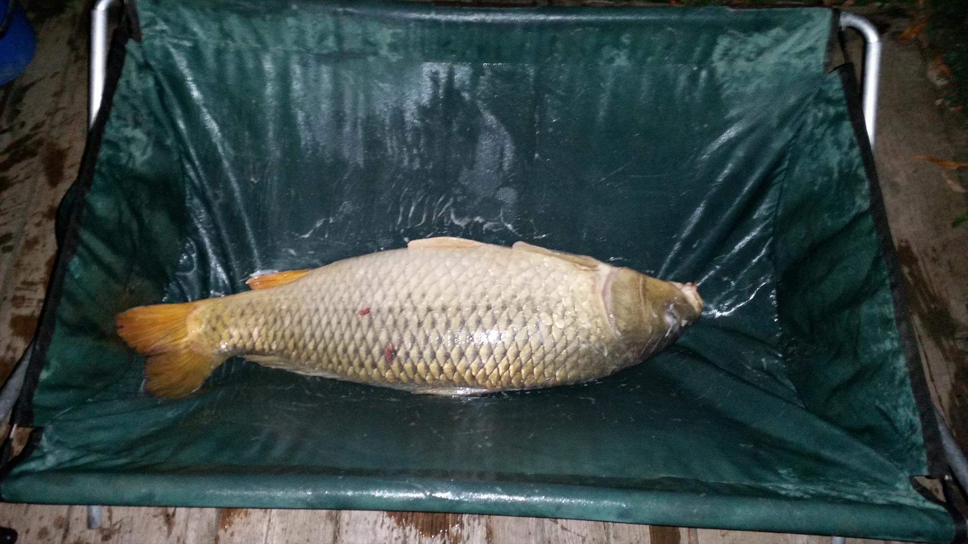 Moara Vlasiei 2 16 - 17 sep. - 20150916212101.jpg